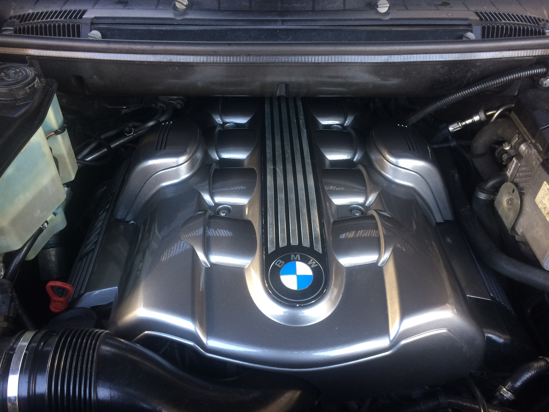 Свечи бмв х5 е53. BMW x5 e53 4.4 двигатель. Крышка двигателя BMW n53. Двигатель 4.4 БМВ х5 е53. BMW x5 f15 50i крышка мотора.