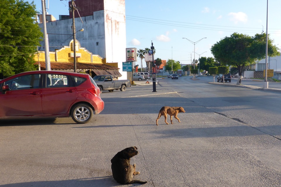 Matamoros Tamaulipas Mexico