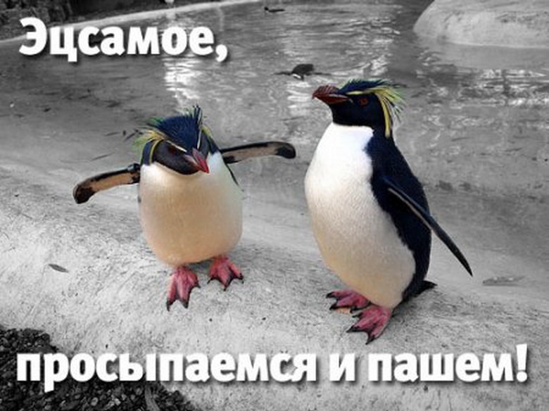 Доброе утро хорошего дня мем