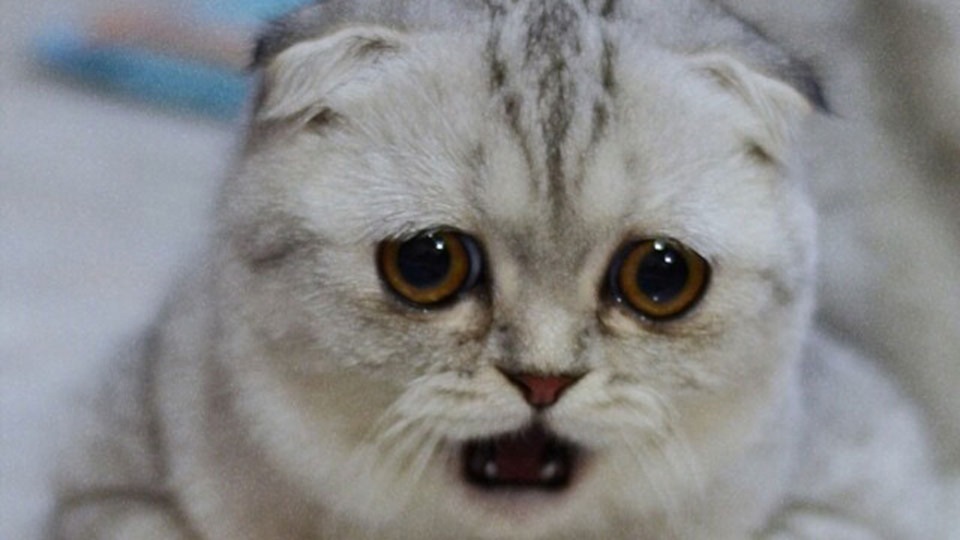 Грустьпечальтоска — Lada 21074, 1,5 л, 2002 года | поломка | DRIVE2