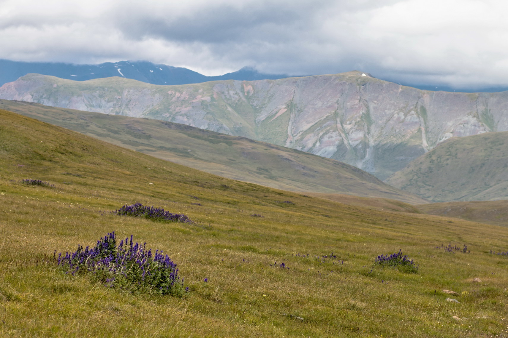 Монгольский алтай фото