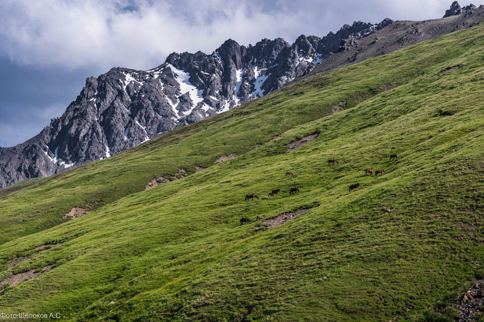 Перевал шаукам на машине. Смотреть фото Перевал шаукам на машине. Смотреть картинку Перевал шаукам на машине. Картинка про Перевал шаукам на машине. Фото Перевал шаукам на машине