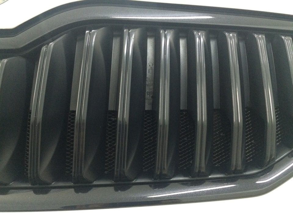 Установил Блэк пакет и защитную сетку радиатора — Skoda Octavia A7 Mk3 ...