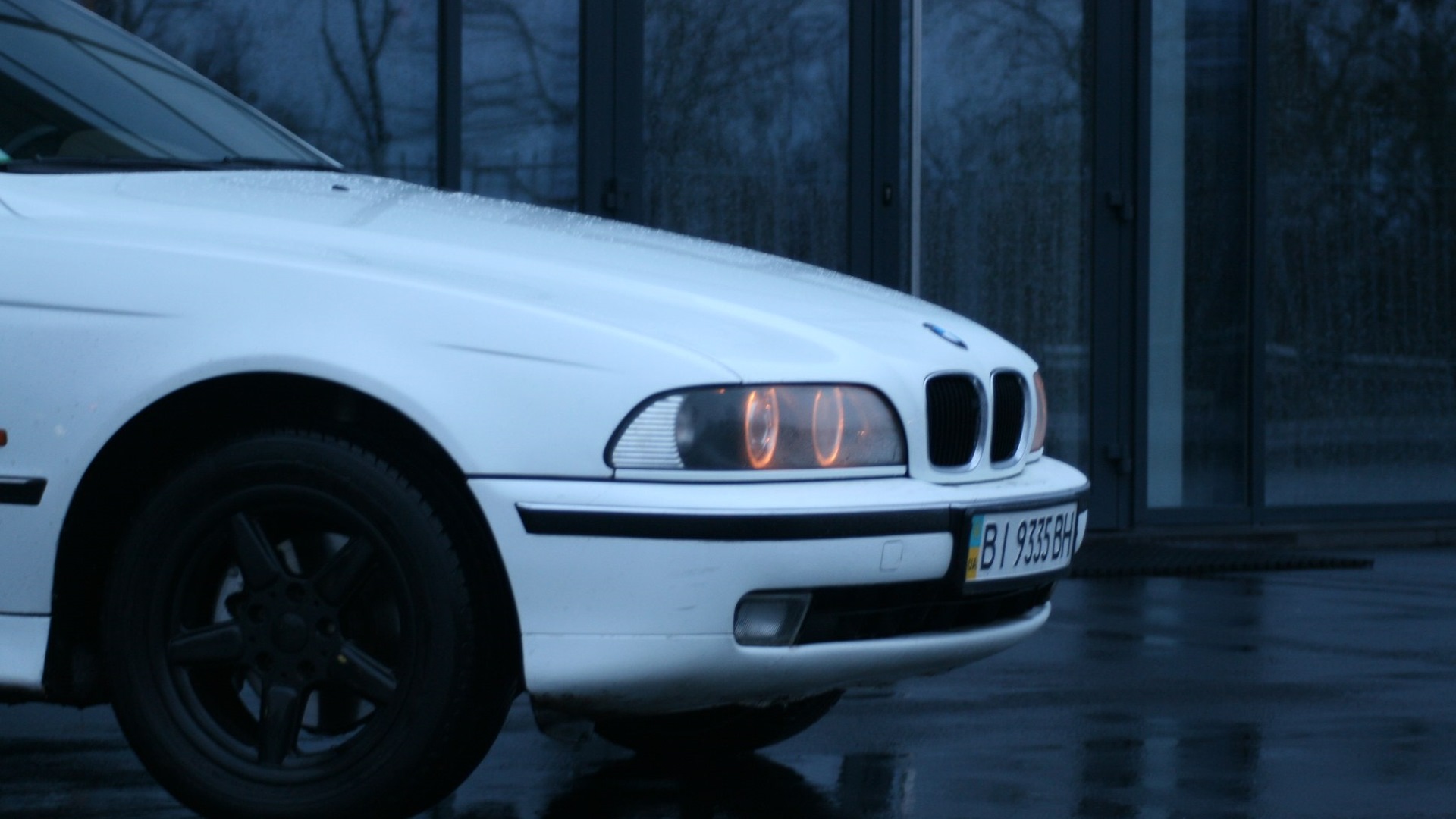 BMW 5 series (E39) 2.5 бензиновый 1997 | 2.5 ,белый 