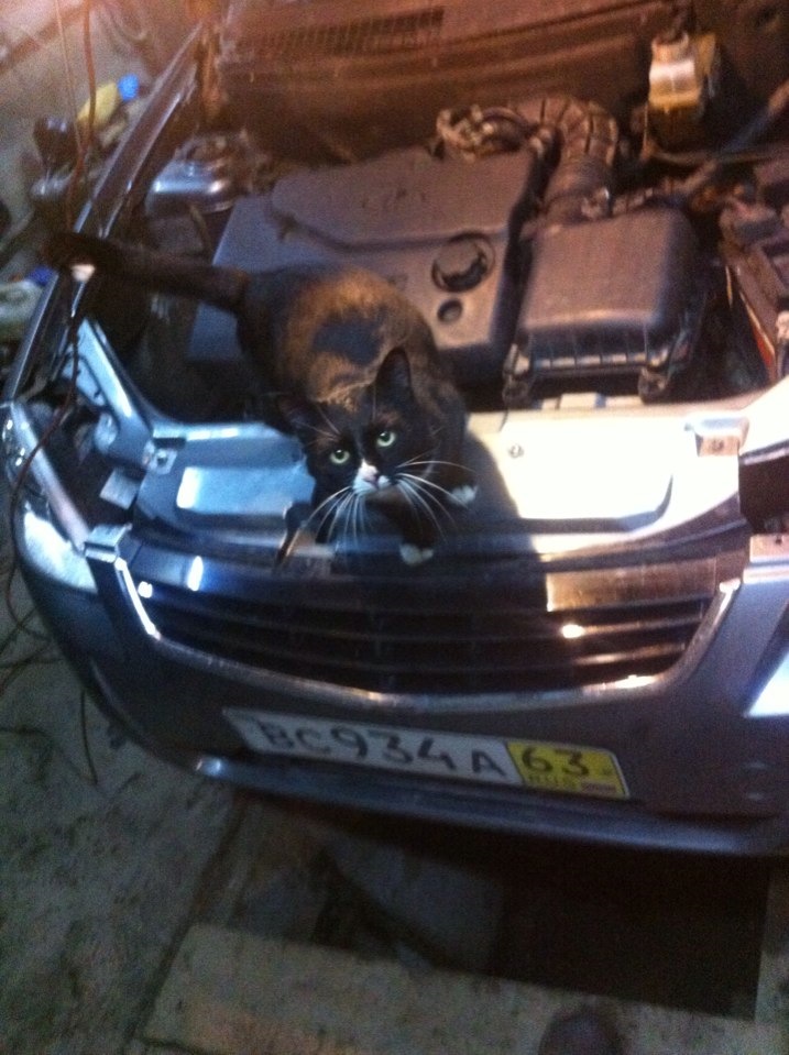 Плавают обороты — Lada Приора седан, 1,6 л, 2007 года | электроника ...