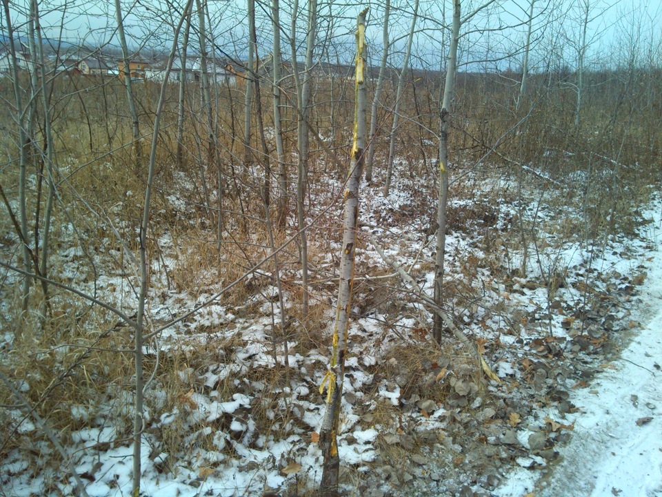 Вот это дрифт… — Москвич 412, 2 л, 1975 года | ДТП | DRIVE2