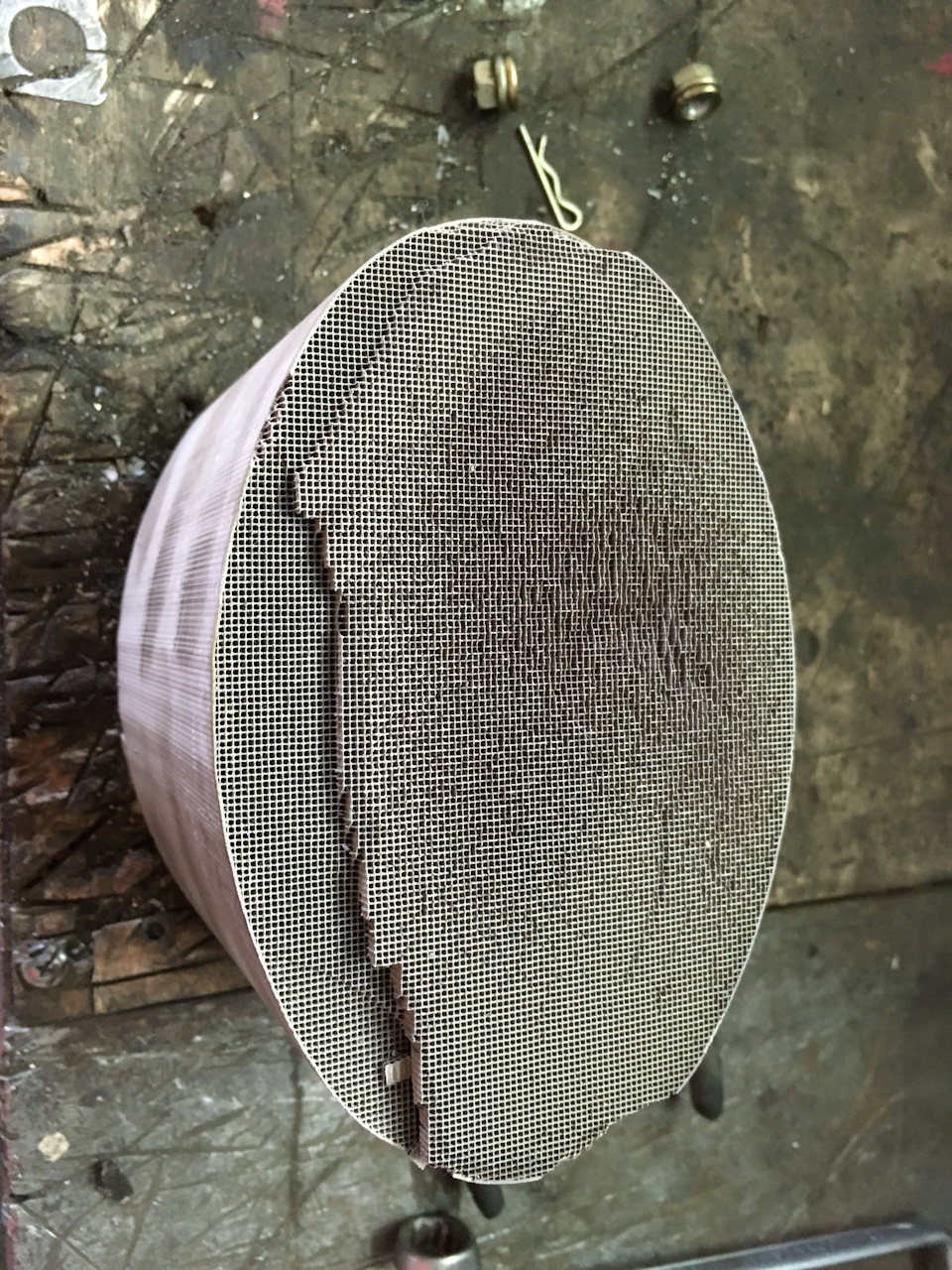 Фото в бортжурнале Opel Astra H GTC