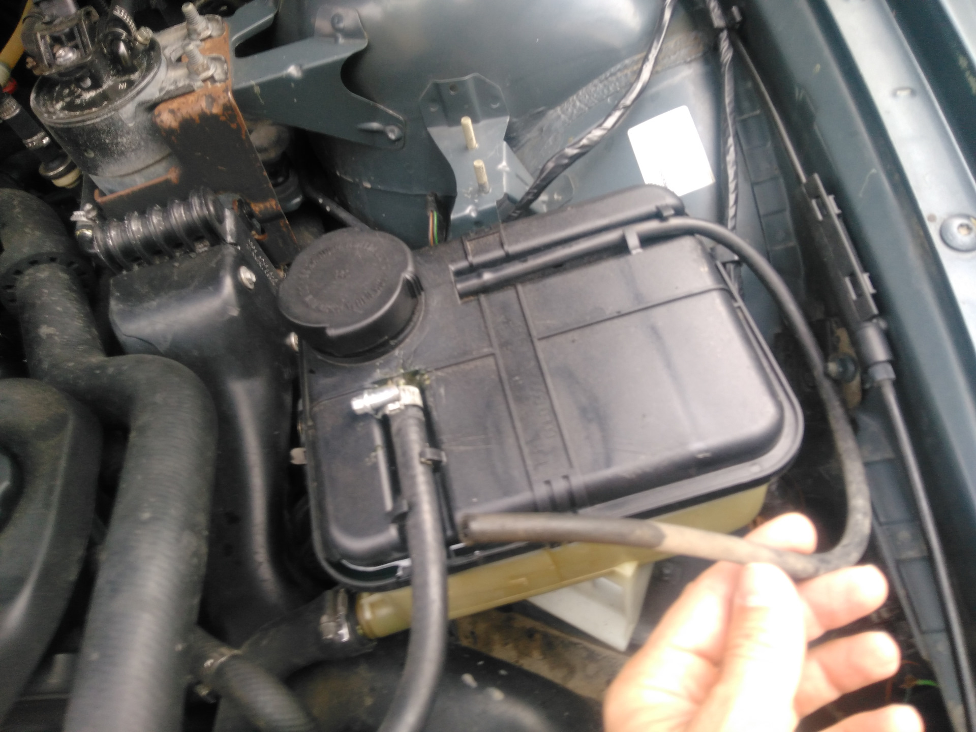 Bmw e46 антифриз. антифриз бмв е39. рашителни бачок бмв е 46. антифриз бмв е39. бачок антифриза бмв е39 525.