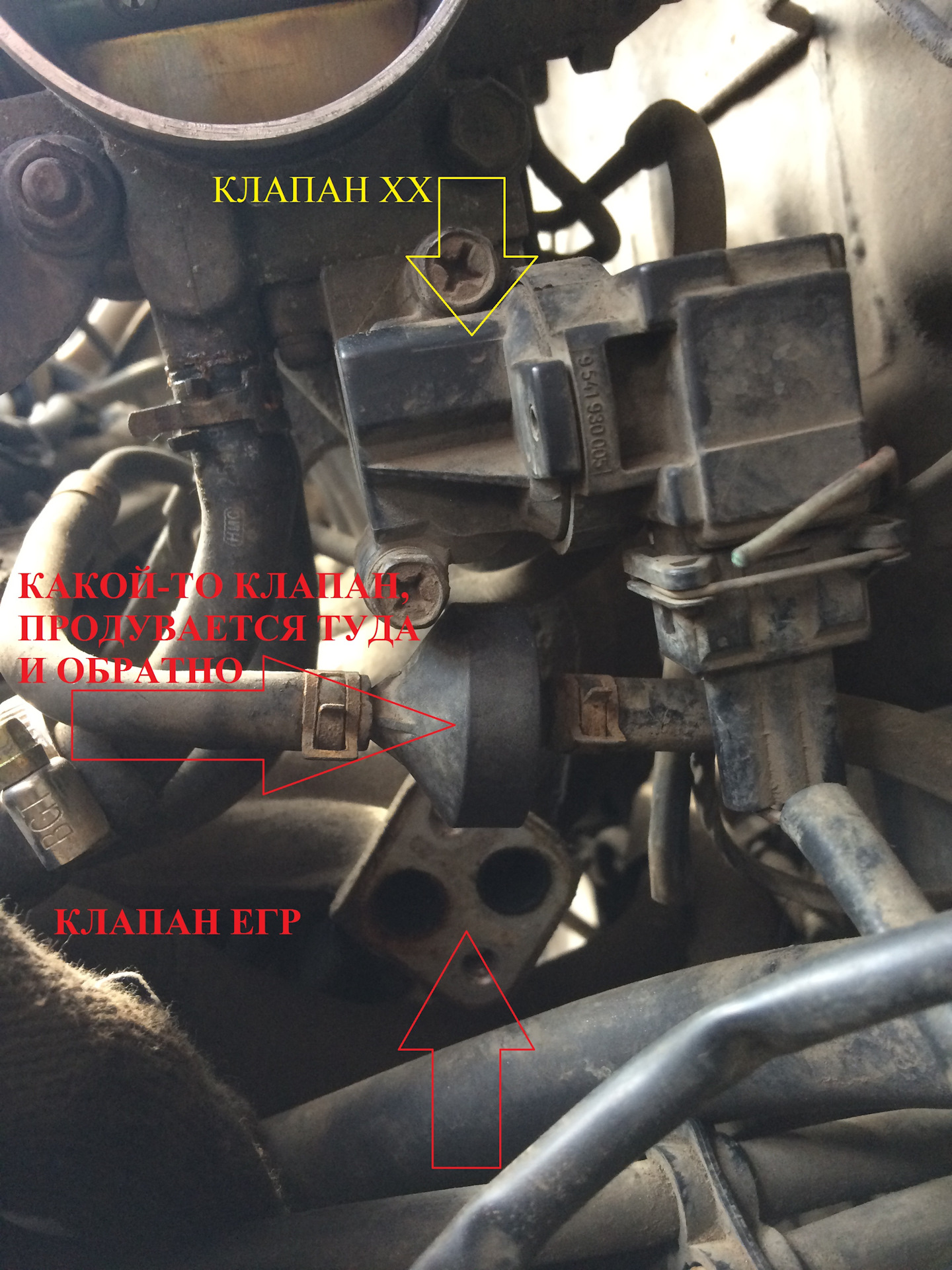 Егр Санта Фе 2.2 Дизель Купить