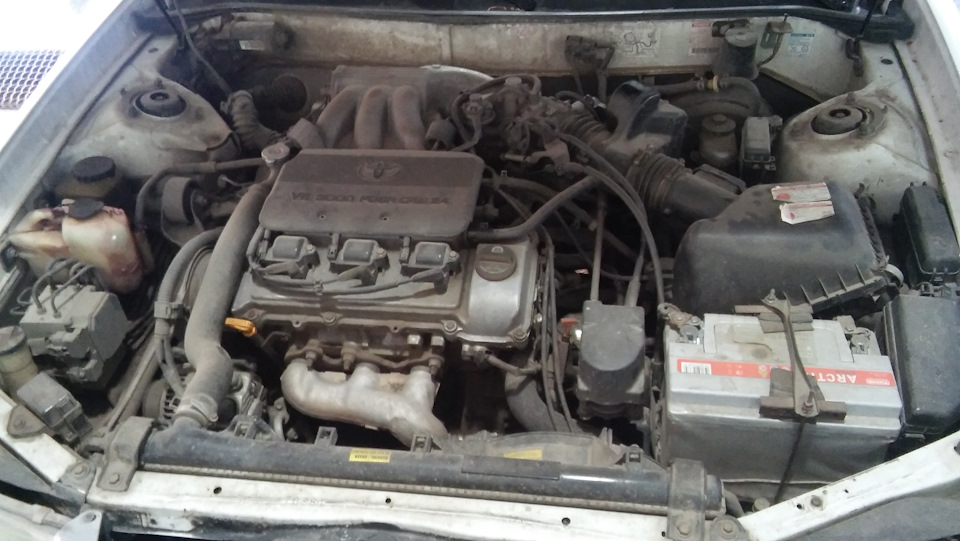 решил как то помыть движок… — Toyota Avalon, 3 л, 1998 года | мойка ...