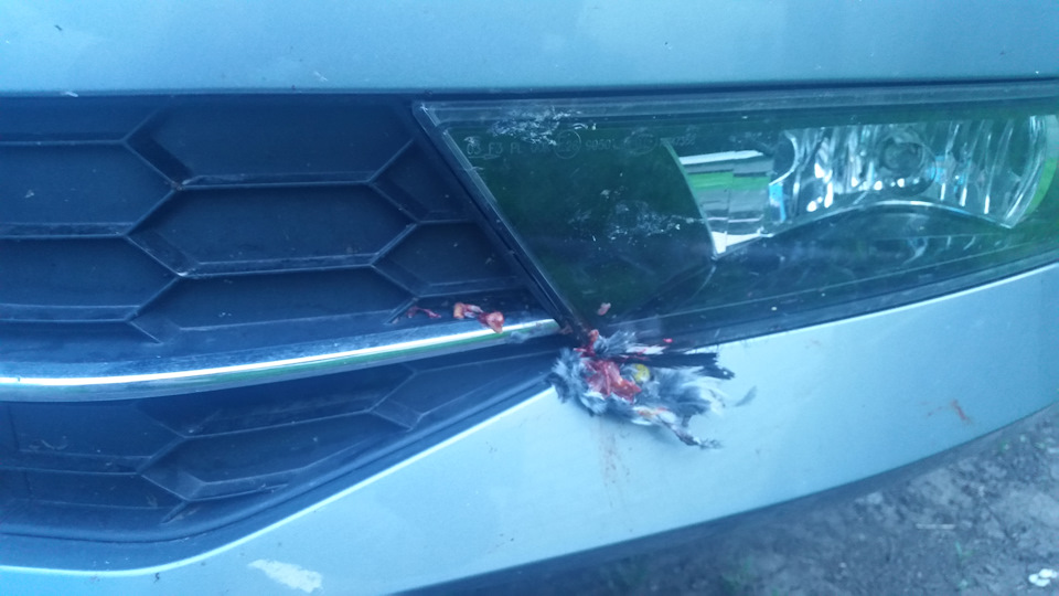 Повезло, что не разбила! — Skoda Superb Mk3