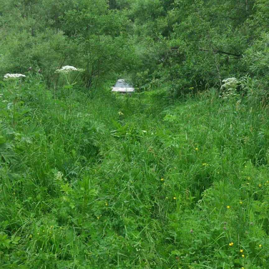 Фото в бортжурнале Suzuki Escudo (1G)