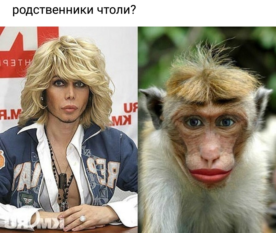 Люди похожие на обезьян фото
