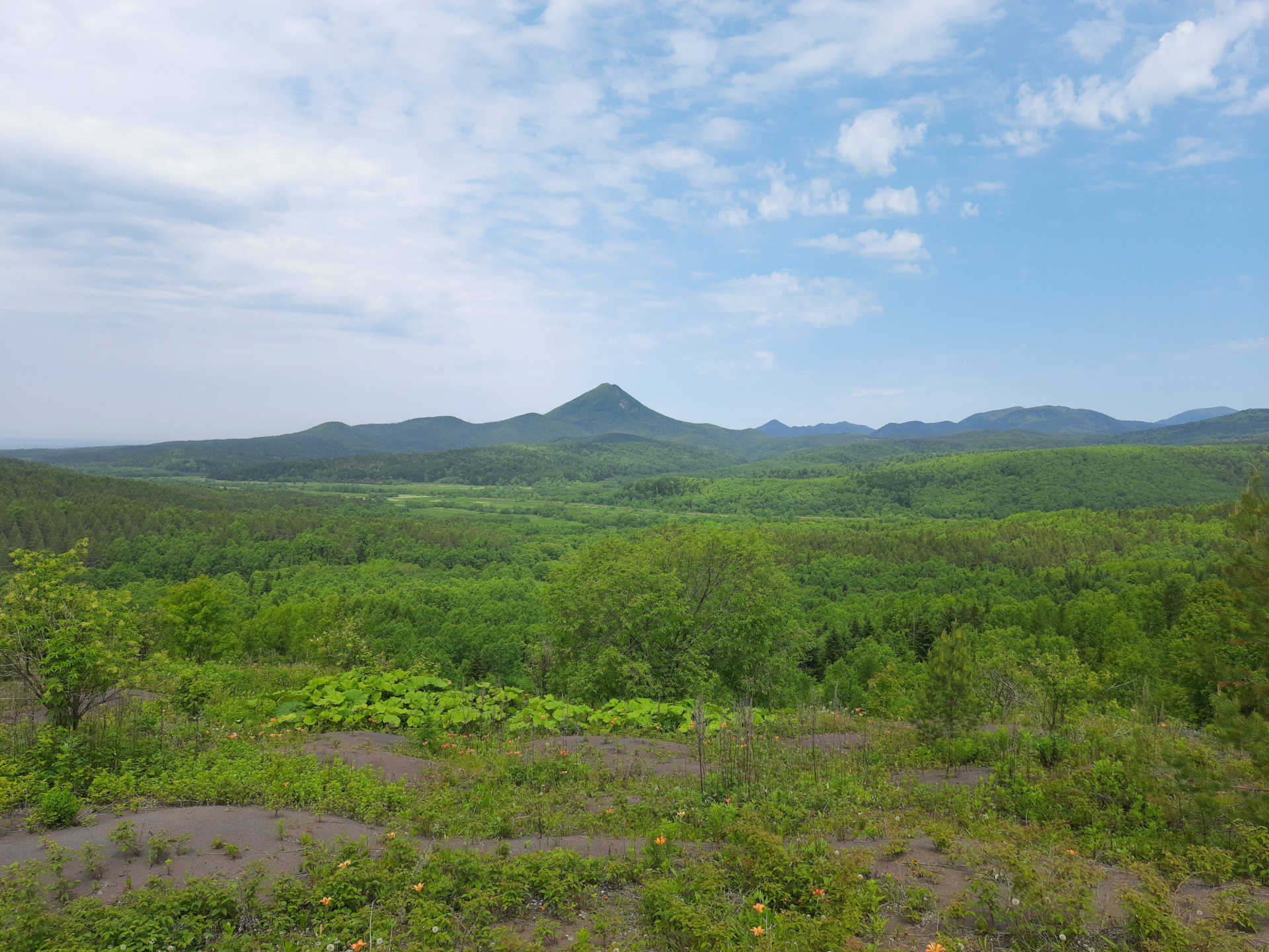 Тяга поперечной устойчивости — Suzuki Jimny, 0,6 л., 2012 года ...