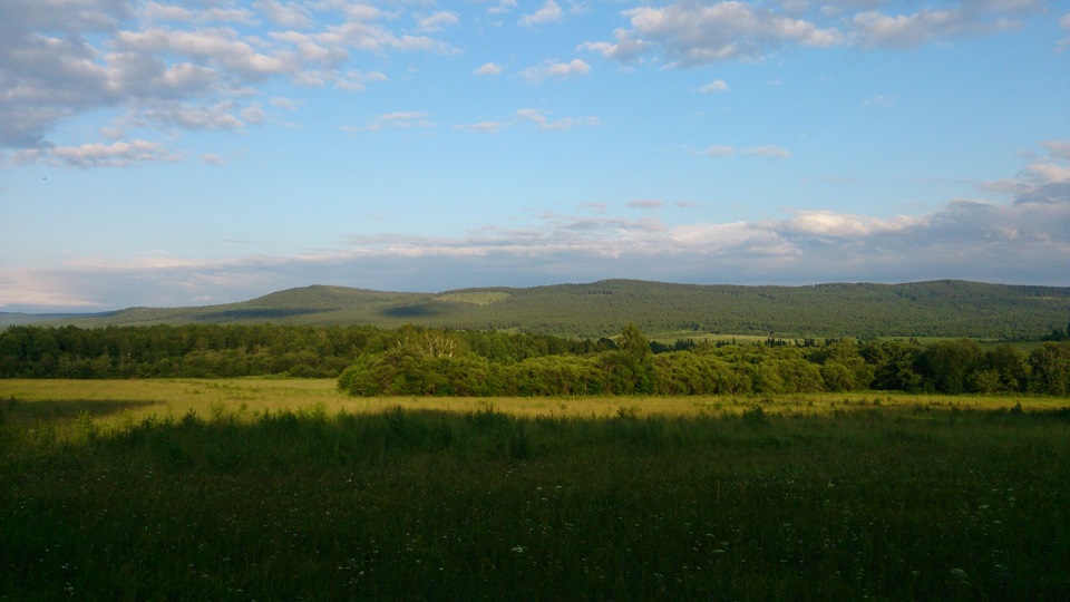 В лес, по грибы да по ягоды) — Skoda Octavia A5 Mk2, 1,6 л, 2013 года ...