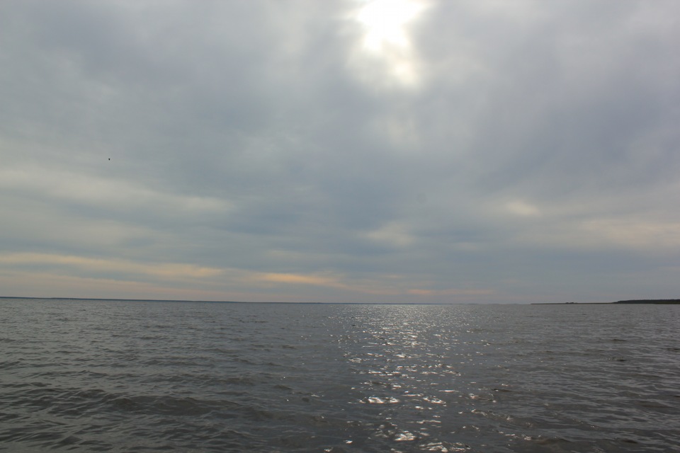 Погода озера воже. Озеро Воже. Озеро Воже Вологодская область. Остров спас на озере Воже. Озеро Воже Вологодская область рыбалка.
