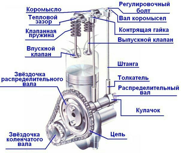 Распредвал и коленвал - AUTOMUM