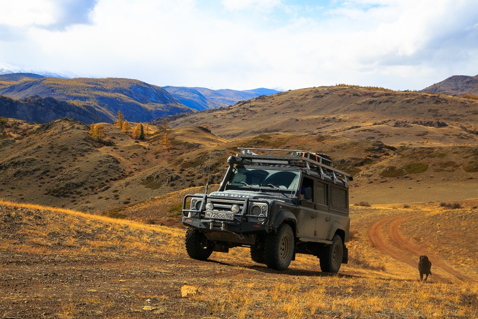 Фото в бортжурнале УАЗ Patriot