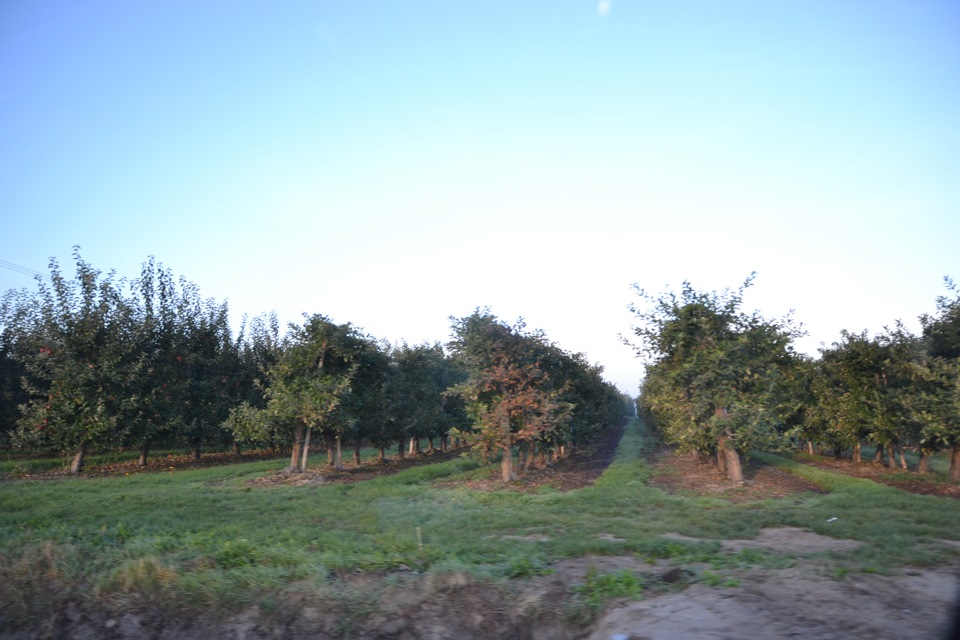 ЕВРОТУР. Часть вторая- Краков, Оломоуц — DRIVE2