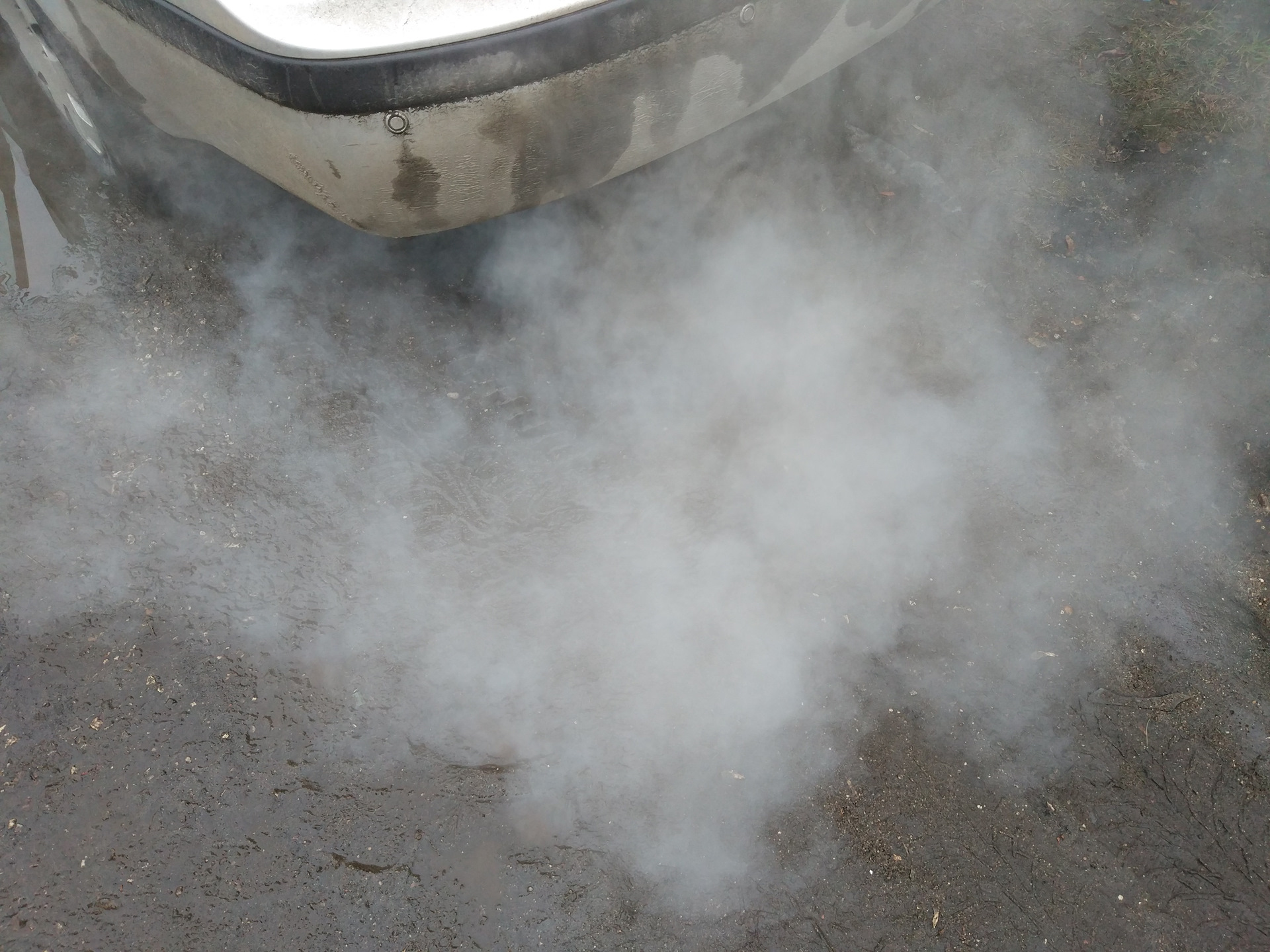 Промывка инжектора (форсунок) Skoda Octavia A4 1.6 AKL + диагностика ...