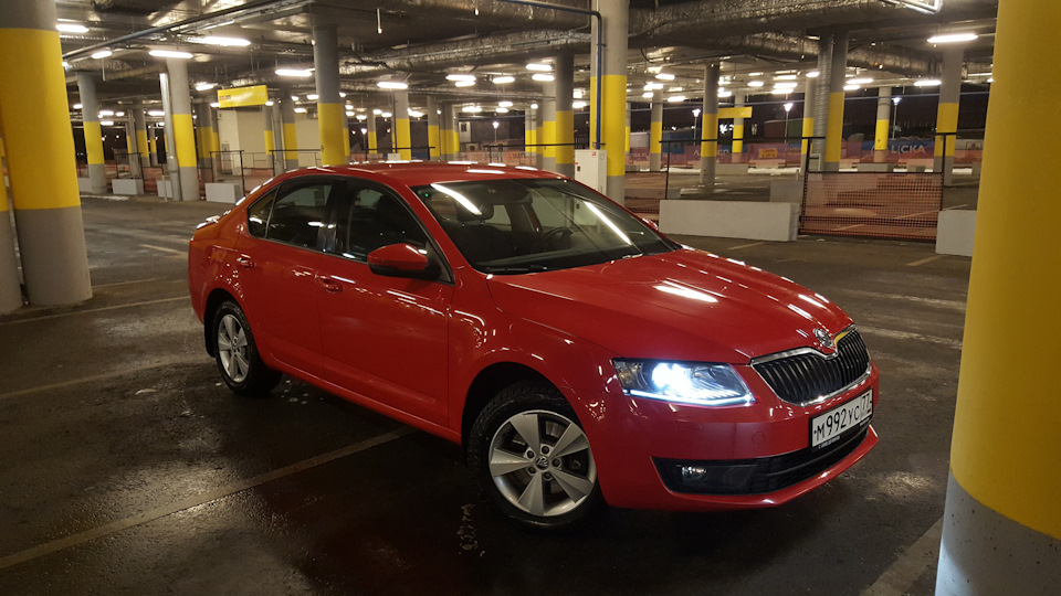 50 тысяч пробега или скрипы и посторонние звуки в салоне — Skoda ...