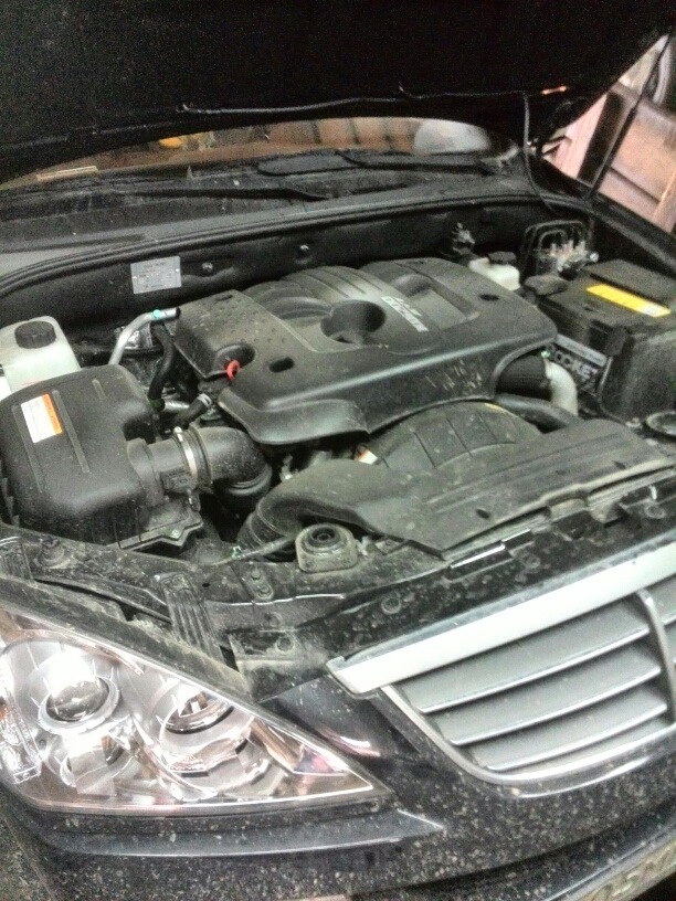 Начало — SsangYong Kyron