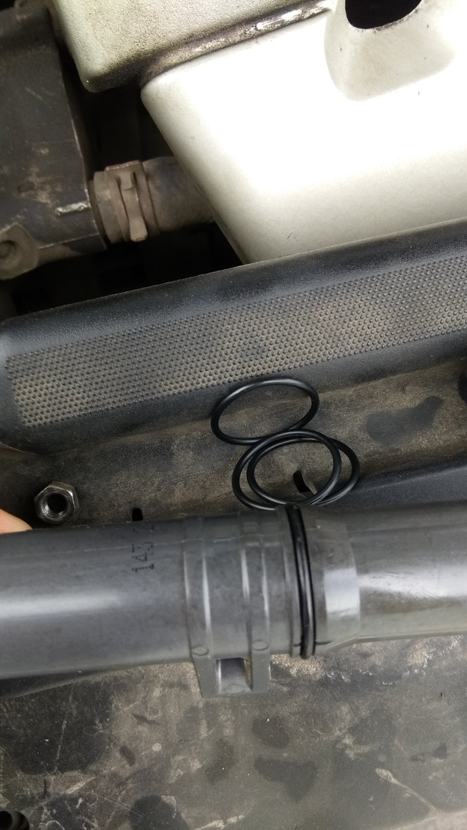 Колечки на катушки и масляную крышку — Renault Laguna II, 2 л, 2002 ...