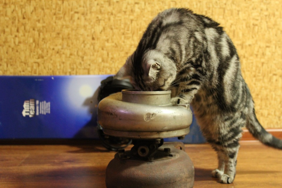 Фото в бортжурнале Toyota Corolla (100)