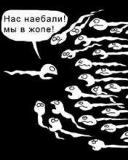 Сперма прикол ПРИКОЛЫ:) — DRIVE2