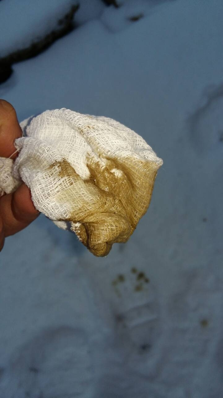 Ман 19 Проблема, масло в антифризе. — Man 19364, 9,9 л, 2000 года ...