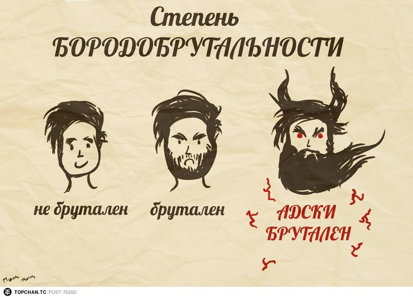 Смешные картинки о бороде, для