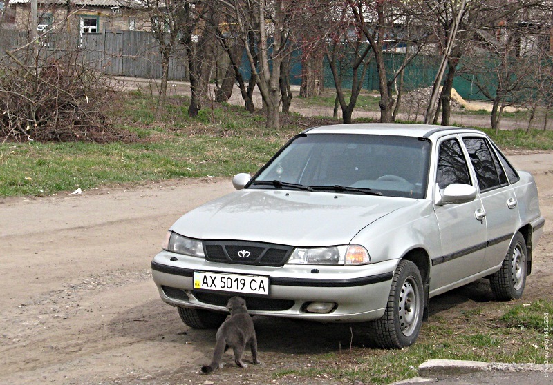 дэу нексия под капотом что где находится. 65a4c34s 960. дэу нексия под капотом что где находится фото. дэу нексия под капотом что где находится-65a4c34s 960. картинка дэу нексия под капотом что где находится. картинка 65a4c34s 960.