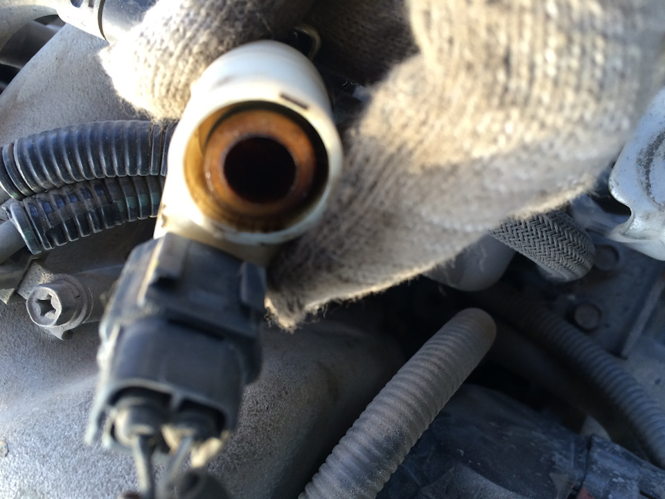 Сапуны кидают масло — Сообщество «Subaru Legacy (BL / BP)» на DRIVE2