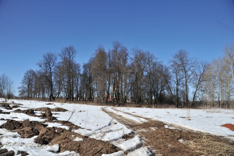 Дэу матиз на гусеницах. 65ba014s 960. Дэу матиз на гусеницах фото. Дэу матиз на гусеницах-65ba014s 960. картинка Дэу матиз на гусеницах. картинка 65ba014s 960. Он это смог!Но всё по порядку…