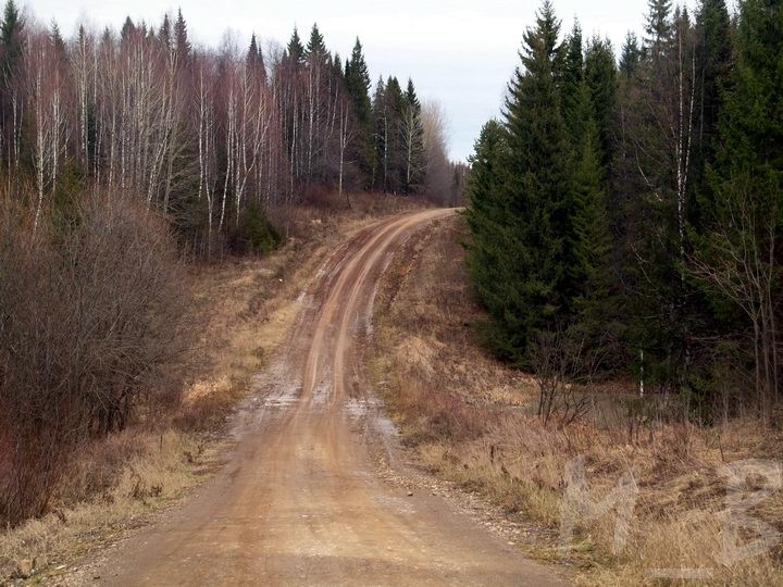 Рим-І,ІІ,ІІІ. Монголо-татары и Бандеровцы.
