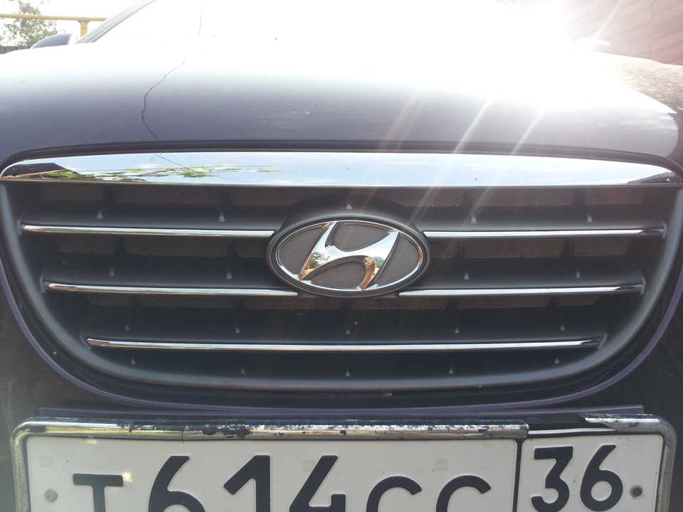 Сетка в радиаторную решетку — Hyundai Elantra (4G), 1,6 л, 2007 года ...