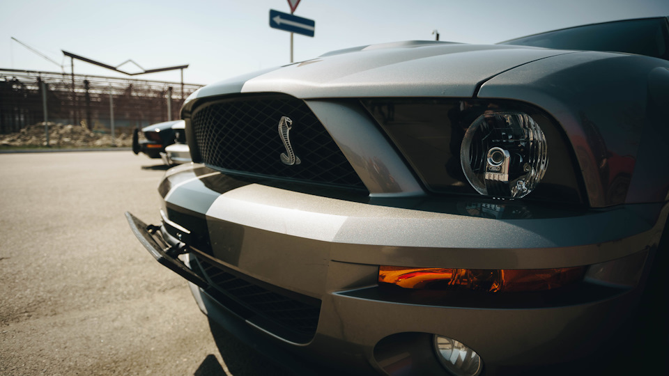 Р’С‹С…Р»РѕРї Ford Mustang Shelby gt500