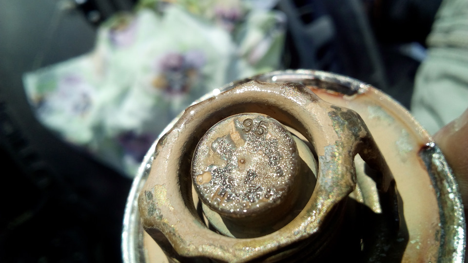 Фото в бортжурнале Jeep Grand Cherokee (WJ)