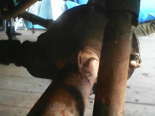 Фото в бортжурнале ГАЗ 21