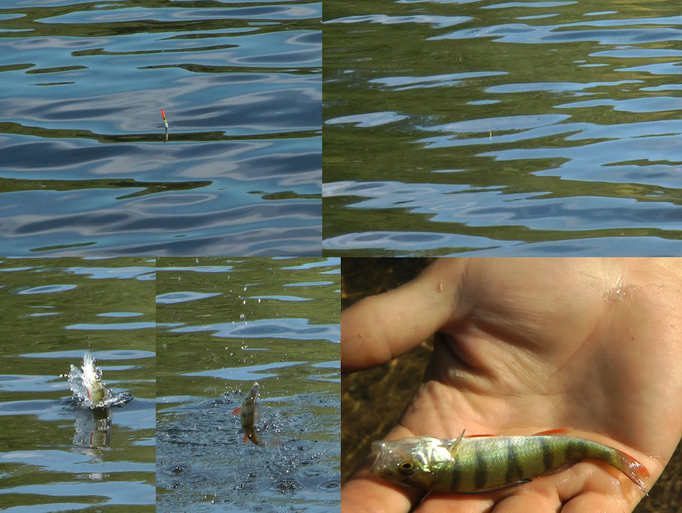 Фото в бортжурнале Mitsubishi Pajero Sport (2G)