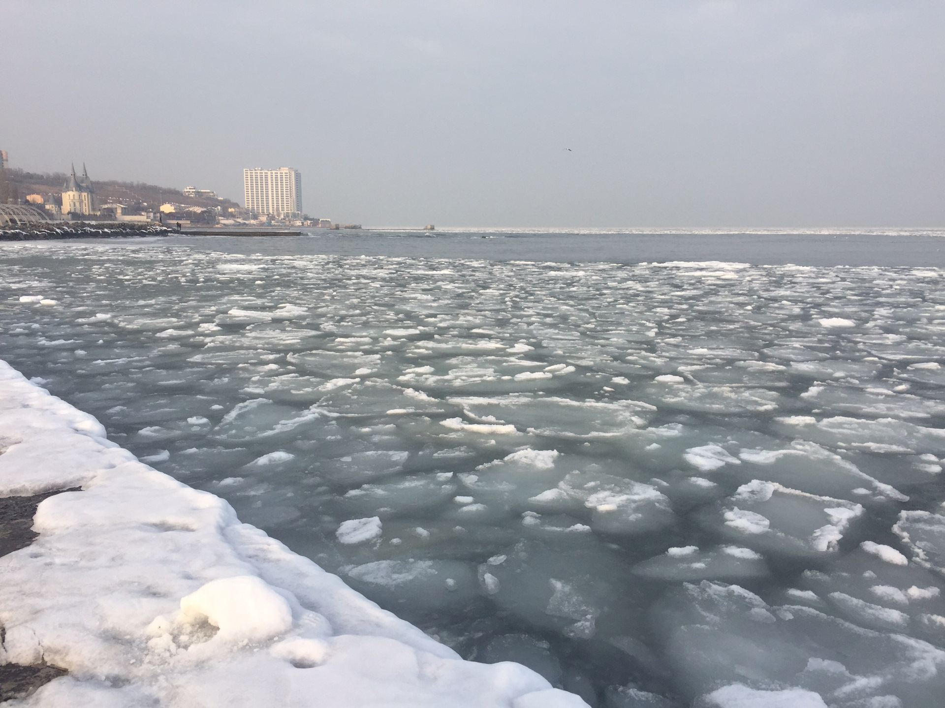 Замерзает ли море. Замерзло море Евпатория 2006. Черное море замерзло Одесса. Замерзшее море в Одессе. Зеленоградск замерзшее море.