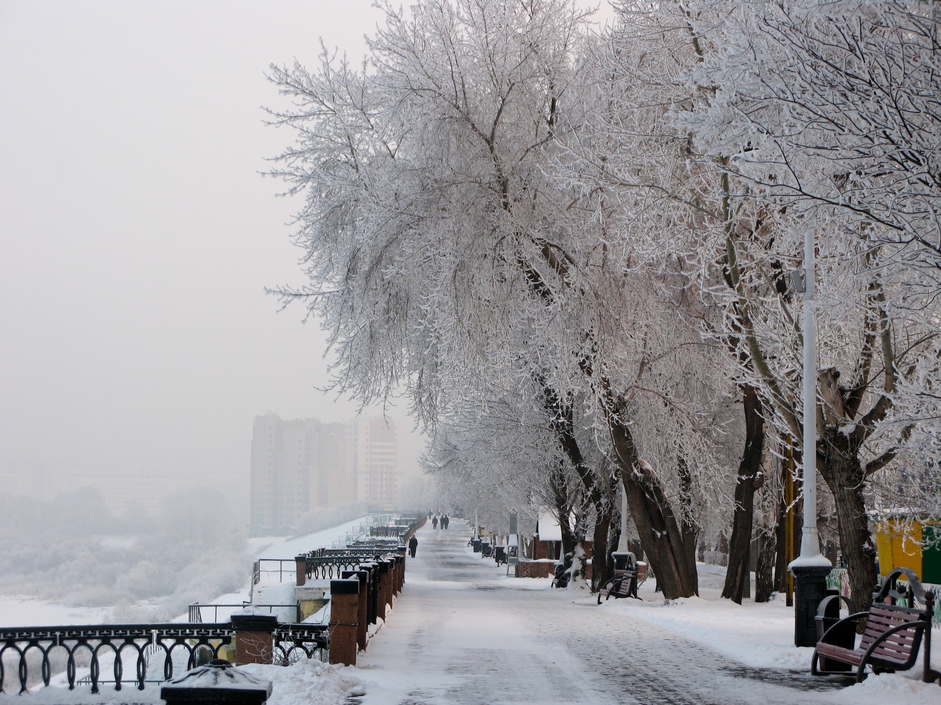 Кемерово ташкент. Кемерово зимой. Зимний пейзаж Кемерово. Кемерово зима фото. Зима в Ташкенте.