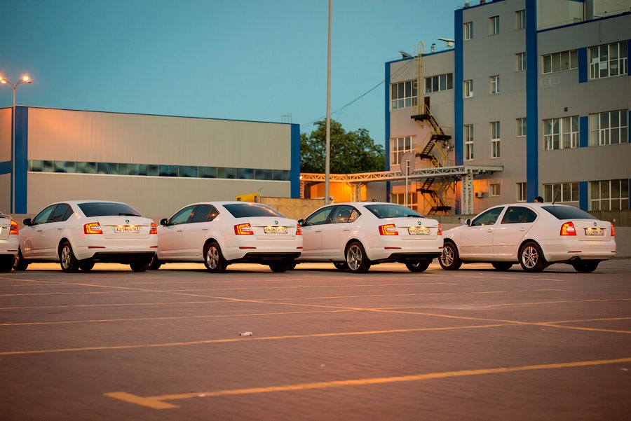 Фото в бортжурнале Skoda Octavia A7 Mk3