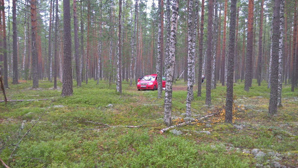 По грибы да по ягоды ) — Chevrolet Aveo Sedan (1G), 1,2 л, 2007 года ...