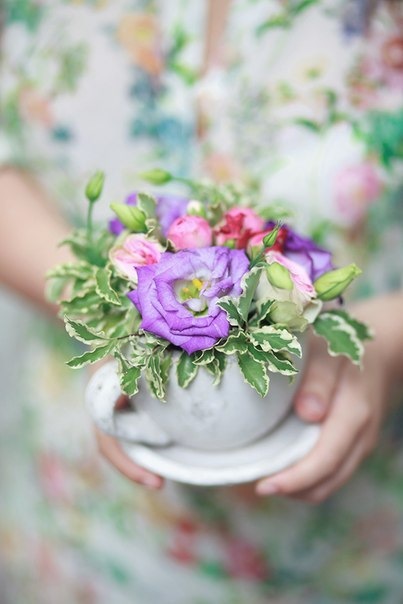 Фото в бортжурнале Subaru Forester (SG)