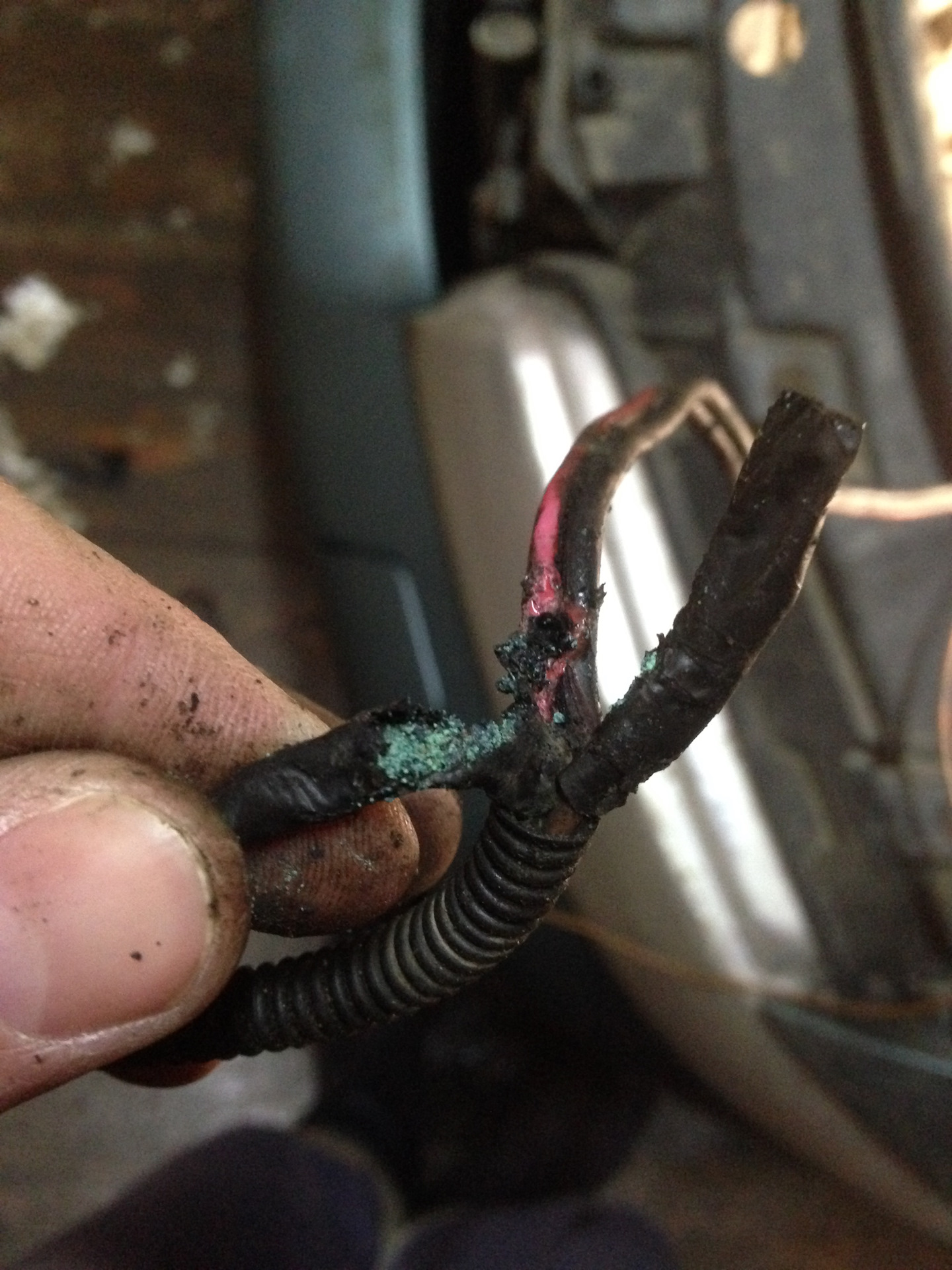 Сгнила проводка brp g2. Сгнил корпус из алюминия. Alfa romeo 159 разъемы на датчики. Сгнившие провода. Сгнил разъем.