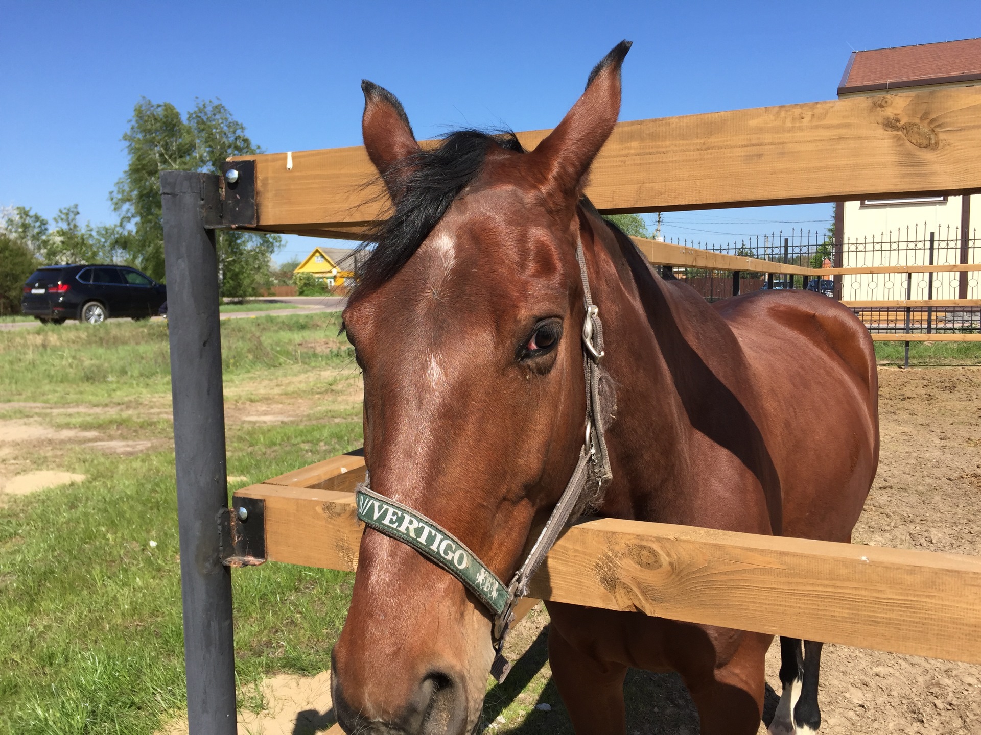 Не все лошади под капотом — DRIVE2