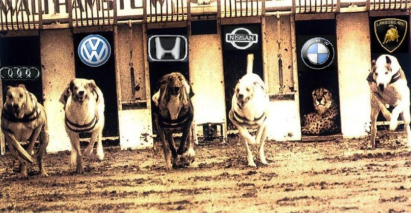 BMW приколы Part.2 — DRIVE2