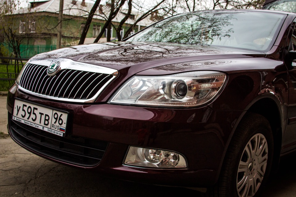 Хром на решетке радиатора — Skoda Octavia A5 Mk2, 1,6 л, 2012 года ...