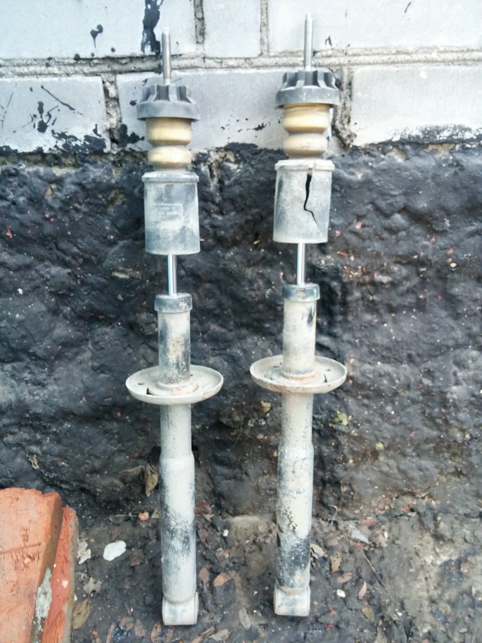 Задние Амортизаторы Чери Амулет Купить В Днр